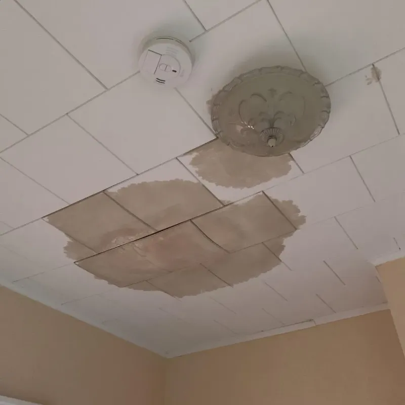 Ceiling Water Damage Repair in Carle Place, NY